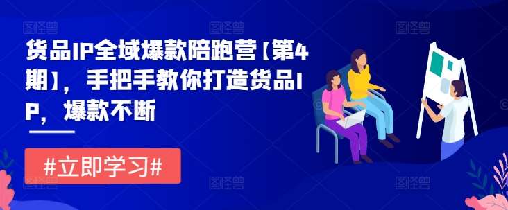 货品IP全域爆款陪跑营【第4期】，手把手教你打造货品IP，爆款不断网创吧-网创项目资源站-副业项目-创业项目-搞钱项目网创吧