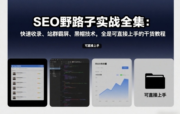 SEO野路子实战全集:快速收录、站群霸屏、黑帽技术,全是可直接上手的干货教程网创吧-网创项目资源站-副业项目-创业项目-搞钱项目网创吧