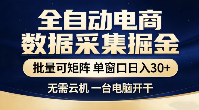 全自动电商数据集掘金,批量可矩阵,单窗口日入30+,无需云机,一台电脑开干【揭秘】网创吧-网创项目资源站-副业项目-创业项目-搞钱项目网创吧