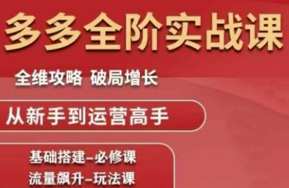 拼多多全阶实战课程,全维攻略,破局增长,从新手到运营高手网创吧-网创项目资源站-副业项目-创业项目-搞钱项目网创吧
