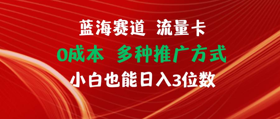 (11768期)蓝海赛道 流量卡 0成本 小白也能日入三位数网创吧-网创项目资源站-副业项目-创业项目-搞钱项目网创吧