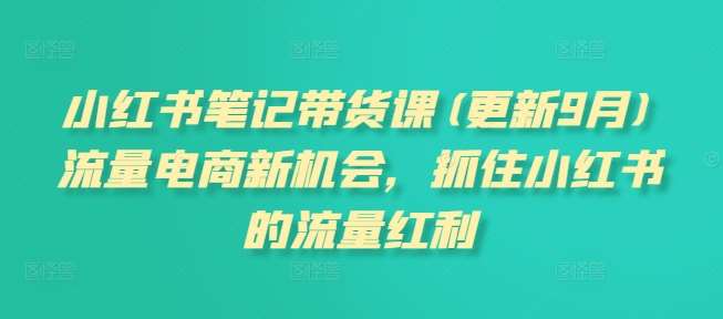 小红书笔记带货课(更新9月)流量电商新机会，抓住小红书的流量红利网创吧-网创项目资源站-副业项目-创业项目-搞钱项目网创吧
