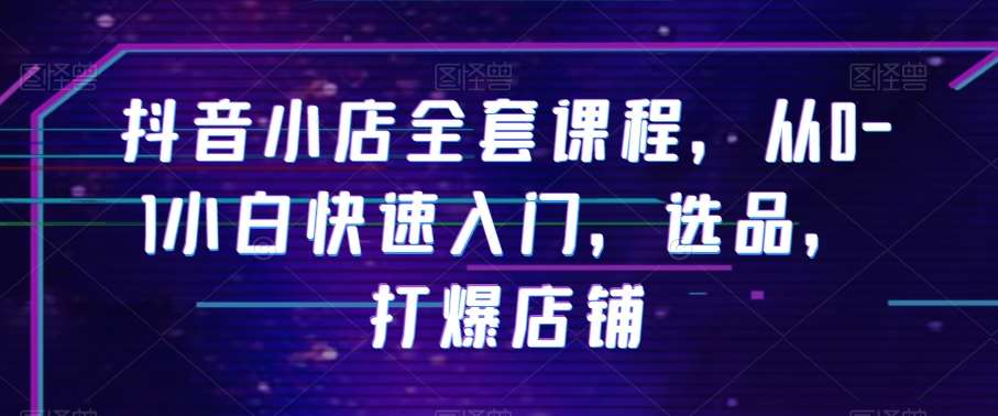 抖音小店全套课程,从0-1小白快速入门,选品,打爆店铺网创吧-网创项目资源站-副业项目-创业项目-搞钱项目网创吧