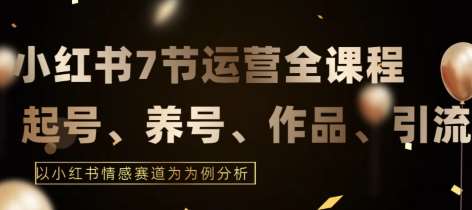 7节小红书运营实战全教程，结合最新情感赛道，打通小红书运营全流程【揭秘】网创吧-网创项目资源站-副业项目-创业项目-搞钱项目网创吧