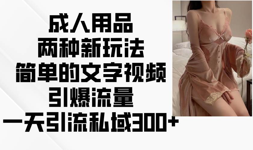 成人用品两种新玩法，简单的文字视频引爆流量，一天引流私域300+网创吧-网创项目资源站-副业项目-创业项目-搞钱项目网创吧