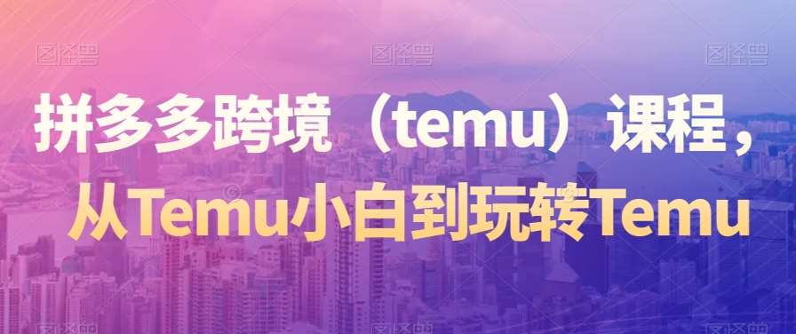 拼多多跨境(temu)课程,从Temu小白到玩转Temu网创吧-网创项目资源站-副业项目-创业项目-搞钱项目网创吧