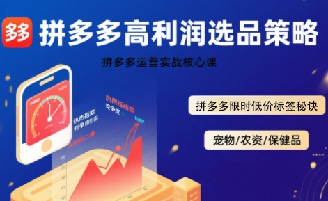拼多多选品暴利技术实战课,拼多多高利润选品策略,拼多多限时低价标签秘诀网创吧-网创项目资源站-副业项目-创业项目-搞钱项目网创吧