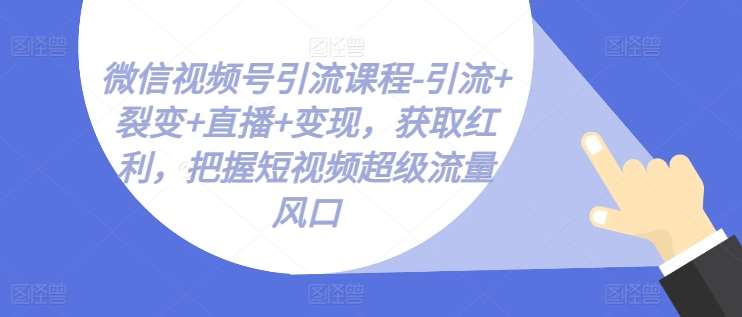 微信视频号引流课程-引流+裂变+直播+变现,获取红利,把握短视频超级流量风口网创吧-网创项目资源站-副业项目-创业项目-搞钱项目网创吧