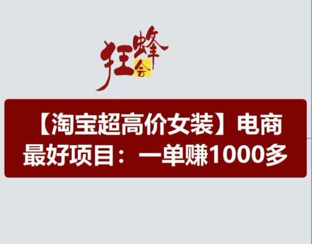 淘宝超高价女装项目，电商最好赛道，一单赚1000多网创吧-网创项目资源站-副业项目-创业项目-搞钱项目网创吧