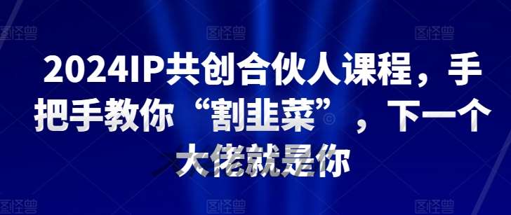 2024IP共创合伙人课程,手把手教你“割韭菜”,下一个大佬就是你网创吧-网创项目资源站-副业项目-创业项目-搞钱项目网创吧