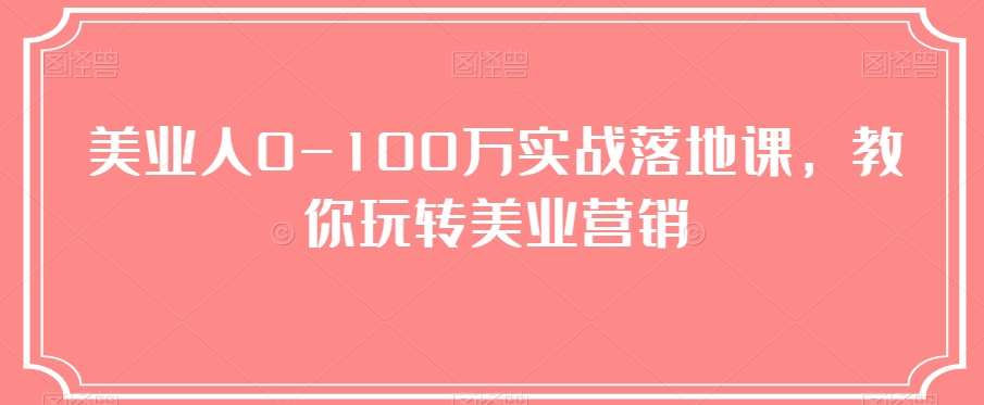 美业人0-100万实战落地课,教你玩转美业营销网创吧-网创项目资源站-副业项目-创业项目-搞钱项目网创吧
