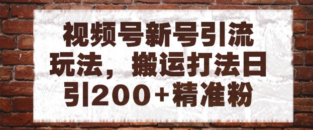 视频号新号引流玩法,搬运打法日引200+精准粉,可矩阵放大【揭秘】网创吧-网创项目资源站-副业项目-创业项目-搞钱项目网创吧