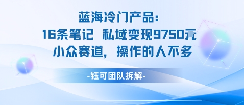 蓝海项目：16条笔记私域变现9750米小众赛道操作的人不多网创吧-网创项目资源站-副业项目-创业项目-搞钱项目网创吧