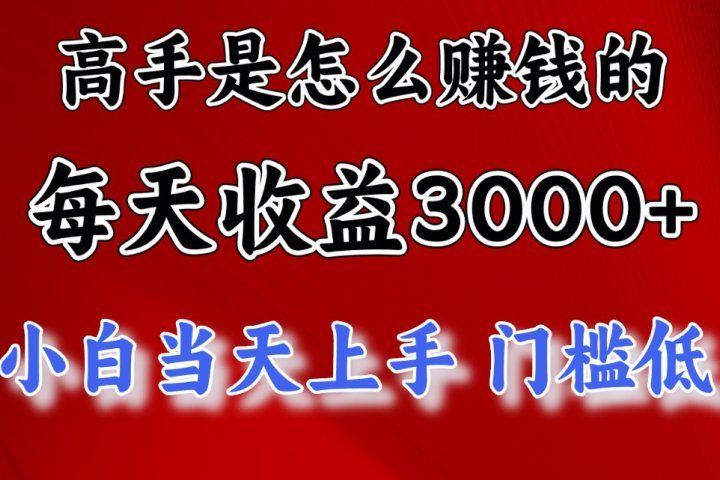 高手是怎么赚钱的,一天收益3000+ 这是穷人逆风翻盘的一个项目,非常稳网创吧-网创项目资源站-副业项目-创业项目-搞钱项目网创吧