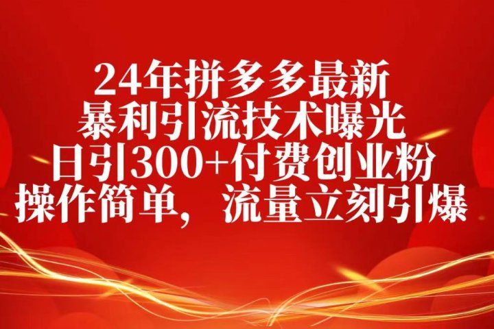 24年拼多多最新暴利引流技术曝光,日引300+付费创业粉,操作简单网创吧-网创项目资源站-副业项目-创业项目-搞钱项目网创吧
