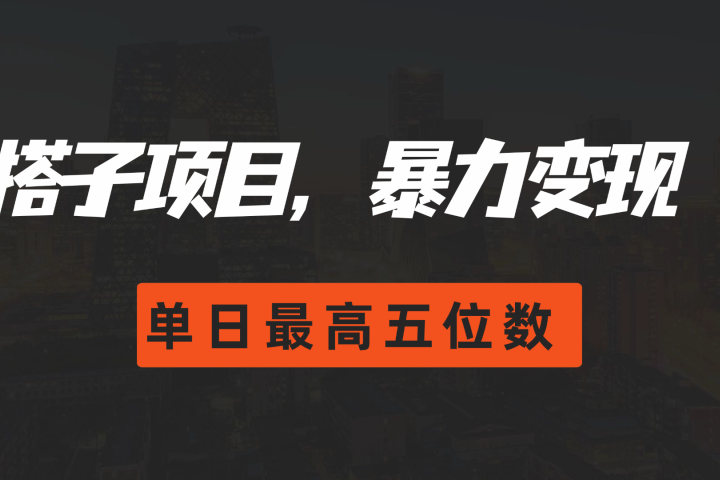 搭子项目,暴力变现,单日最高破五位数网创吧-网创项目资源站-副业项目-创业项目-搞钱项目网创吧