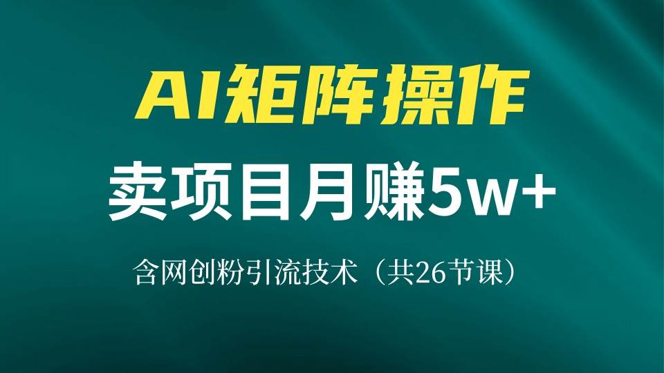 (13335期)网创IP打造课,借助AI卖项目月赚5万+,含引流技术(共26节课)网创吧-网创项目资源站-副业项目-创业项目-搞钱项目网创吧