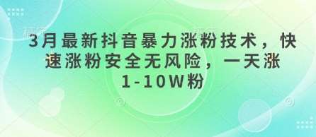 3月最新抖音暴力涨粉技术,快速涨粉安全无风险,一天涨1-10W粉网创吧-网创项目资源站-副业项目-创业项目-搞钱项目网创吧
