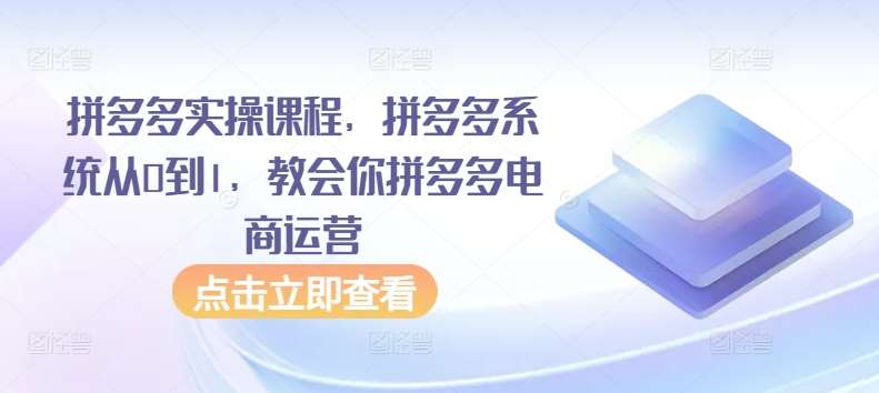 拼多多实操课程，拼多多系统从0到1，教会你拼多多电商运营网创吧-网创项目资源站-副业项目-创业项目-搞钱项目网创吧