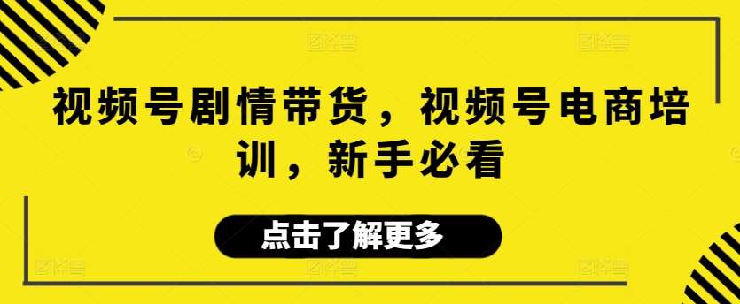 视频号剧情带货,视频号电商培训,新手必看网创吧-网创项目资源站-副业项目-创业项目-搞钱项目网创吧