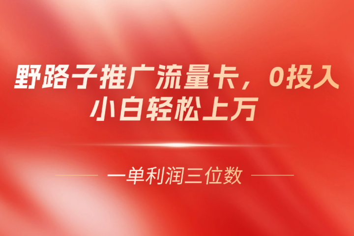 野路子推广流量卡,一单利润上百,0投入,小白月利润上万网创吧-网创项目资源站-副业项目-创业项目-搞钱项目网创吧