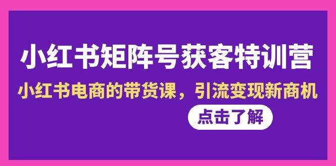 (8909期)小红书-矩阵号获客特训营-第10期,小红书电商的带货课,引流变现新商机网创吧-网创项目资源站-副业项目-创业项目-搞钱项目网创吧