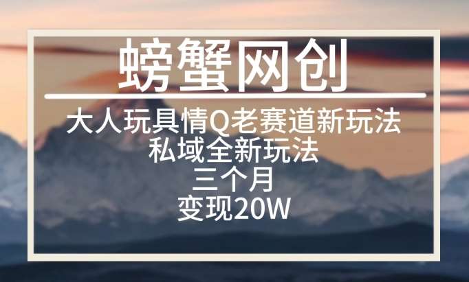 大人玩具情Q用品赛道私域全新玩法,三个月变现20W,老项目新思路【揭秘】网创吧-网创项目资源站-副业项目-创业项目-搞钱项目网创吧