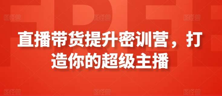 直播带货提升密训营,打造你的超级主播网创吧-网创项目资源站-副业项目-创业项目-搞钱项目网创吧