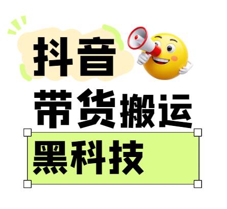 299买来抖音带货搬运技术,苹果安卓都可以,两分钟一个视频,不会封号!网创吧-网创项目资源站-副业项目-创业项目-搞钱项目网创吧