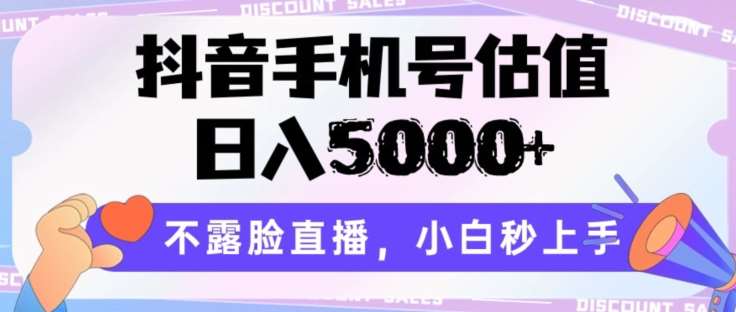 抖音手机号估值,日入5000+,不露脸直播,小白秒上手【揭秘】网创吧-网创项目资源站-副业项目-创业项目-搞钱项目网创吧