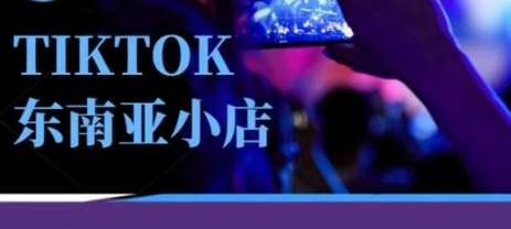 Tiktok东南亚跨境小店运营班,一门专业的TK小店运营培训课网创吧-网创项目资源站-副业项目-创业项目-搞钱项目网创吧