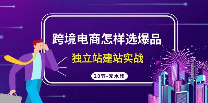 (9369期)跨境电商怎样选爆品,独立站建站实战(20节高清无水印课)网创吧-网创项目资源站-副业项目-创业项目-搞钱项目网创吧