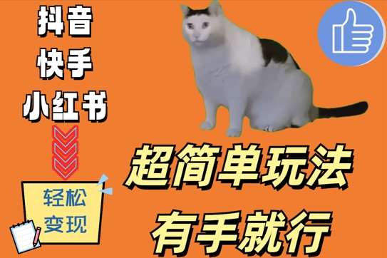 超简单玩法,有手就行,靠猫咪视频日入500+【揭秘】网创吧-网创项目资源站-副业项目-创业项目-搞钱项目网创吧
