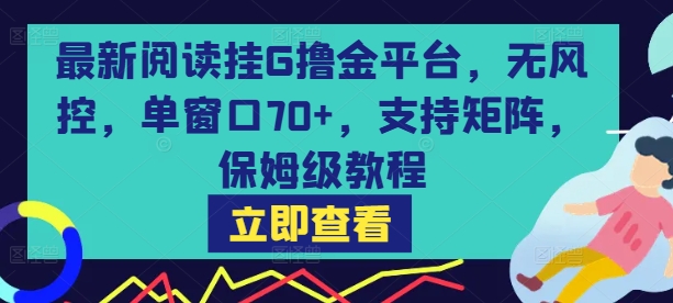 最新阅读挂G撸金平台,无风控,单窗口70+,支持矩阵,保姆级教程【揭秘】网创吧-网创项目资源站-副业项目-创业项目-搞钱项目网创吧