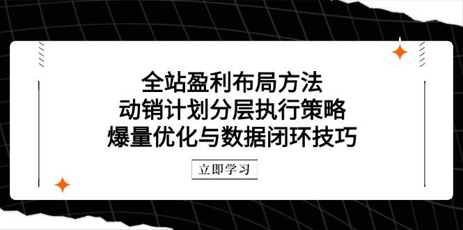 (14698期)全站盈利布局方法:动销计划分层执行策略,爆量优化与数据闭环技巧网创吧-网创项目资源站-副业项目-创业项目-搞钱项目网创吧