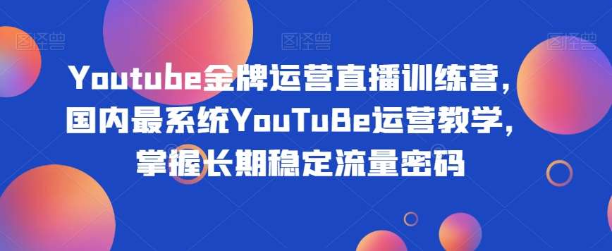 Youtube金牌运营直播训练营,国内最系统YouTuBe运营教学,掌握长期稳定流量密码网创吧-网创项目资源站-副业项目-创业项目-搞钱项目网创吧