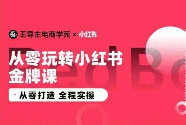 王导主·小红书电商运营实操课,从零打造 全程实操网创吧-网创项目资源站-副业项目-创业项目-搞钱项目网创吧