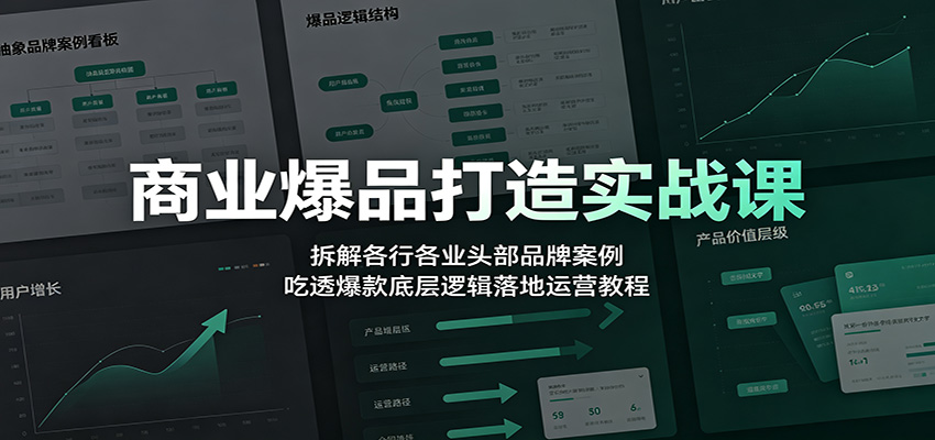 商业爆品打造实战课：拆解各行各业头部品牌案例，吃透爆款底层逻辑落地运营教程网创吧-网创项目资源站-副业项目-创业项目-搞钱项目网创吧