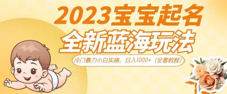 2023宝宝起名全新蓝海玩法,冷门暴力小白实操,日入1000+(全套教程)【揭秘】网创吧-网创项目资源站-副业项目-创业项目-搞钱项目网创吧