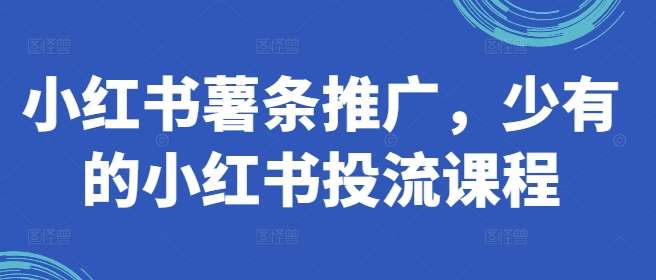 小红书薯条推广，少有的小红书投流课程网创吧-网创项目资源站-副业项目-创业项目-搞钱项目网创吧