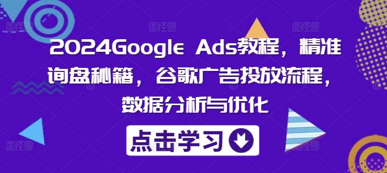 2024Google Ads教程,精准询盘秘籍,谷歌广告投放流程,数据分析与优化网创吧-网创项目资源站-副业项目-创业项目-搞钱项目网创吧