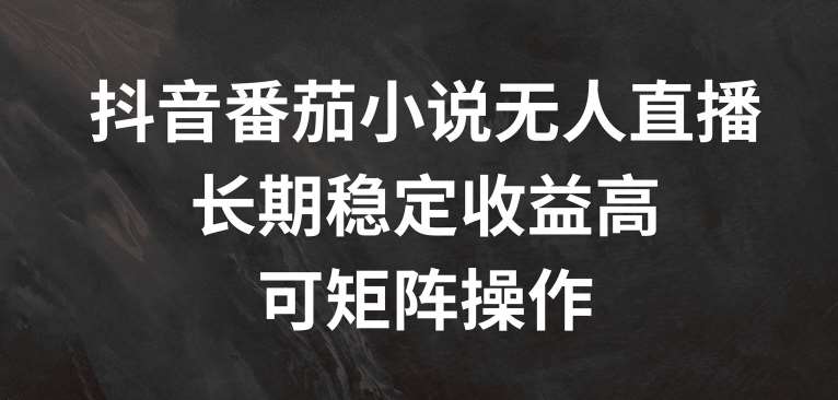 抖音番茄小说无人直播,长期稳定收益高,可矩阵操作【揭秘】网创吧-网创项目资源站-副业项目-创业项目-搞钱项目网创吧