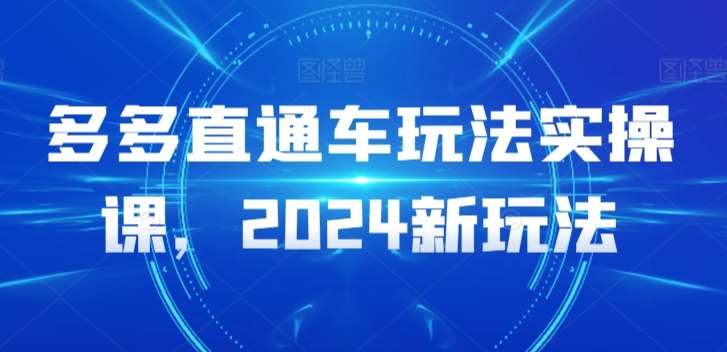 多多直通车玩法实操课,2024新玩法网创吧-网创项目资源站-副业项目-创业项目-搞钱项目网创吧