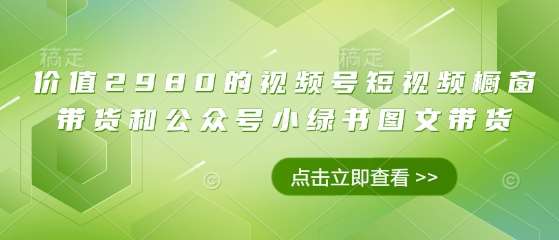 价值2980的视频号短视频橱窗带货和公众号小绿书图文带货网创吧-网创项目资源站-副业项目-创业项目-搞钱项目网创吧