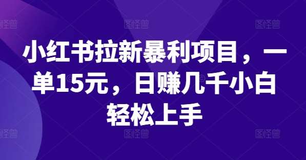 小红书拉新暴利项目,一单15元,日赚几千小白轻松上手【揭秘】网创吧-网创项目资源站-副业项目-创业项目-搞钱项目网创吧