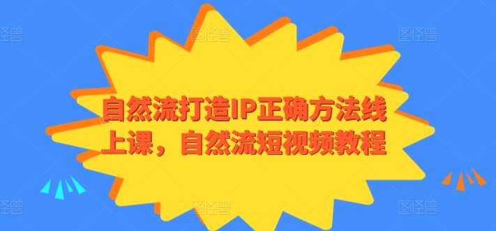 自然流打造IP正确方法线上课,自然流短视频教程网创吧-网创项目资源站-副业项目-创业项目-搞钱项目网创吧