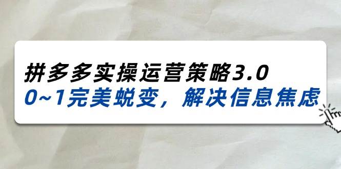 (11658期)2024_2025拼多多实操运营策略3.0,0~1完美蜕变,解决信息焦虑(38节)网创吧-网创项目资源站-副业项目-创业项目-搞钱项目网创吧