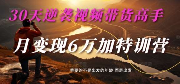 30天逆袭视频带货高手,单月变现6万加特训营-麦子甜网创吧-网创项目资源站-副业项目-创业项目-搞钱项目网创吧