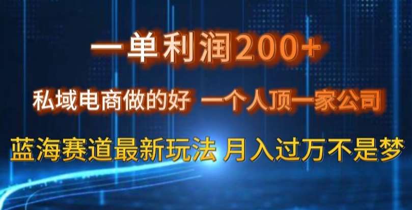 一单利润200私域电商做的好,一个人顶一家公司蓝海赛道最新玩法【揭秘】网创吧-网创项目资源站-副业项目-创业项目-搞钱项目网创吧