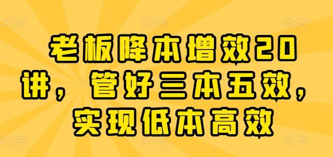 老板降本增效20讲,管好三本五效,实现低本高效网创吧-网创项目资源站-副业项目-创业项目-搞钱项目网创吧